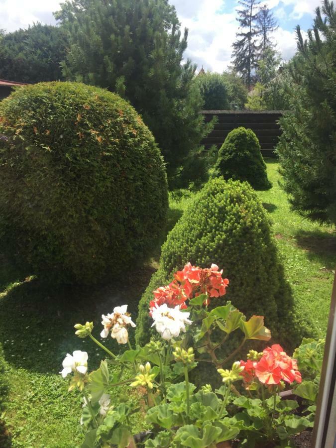 Vidiecky dom AlexSandra - ubytovanie v súkromí Liptovska Ondrasova Exterior foto